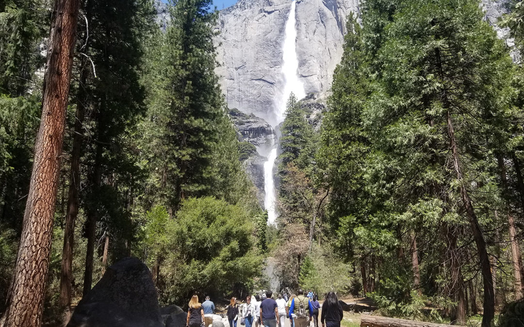 SOUL Street Law students take the classroom to Yosemite