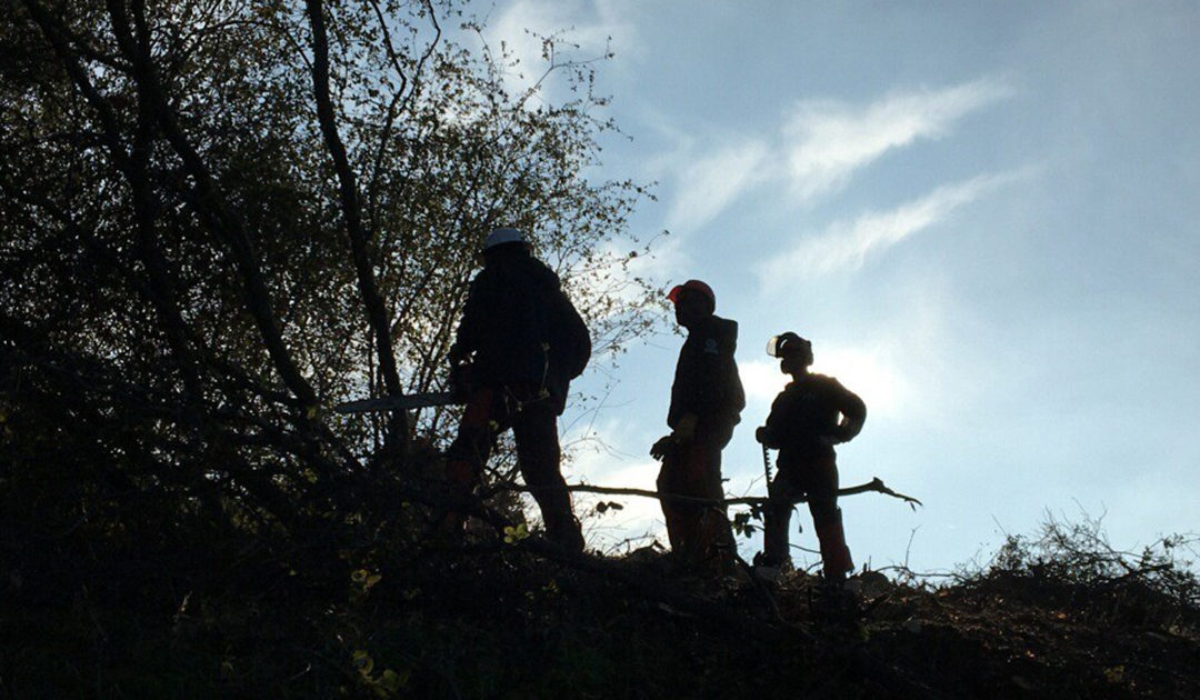 Preventing Wildfires and Creating New Career Paths with Fresno EOC Local Conservation Corps
